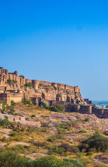 Tempo Traveller in Jodhpur