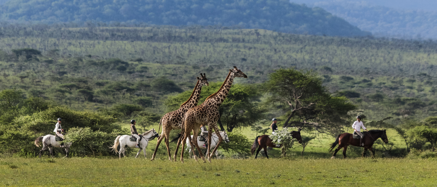 Golden Triangle Tour with Wildlife:DRCT